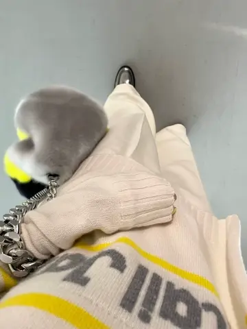 GRACE CONTINENTAL yoshi コーディネート画像