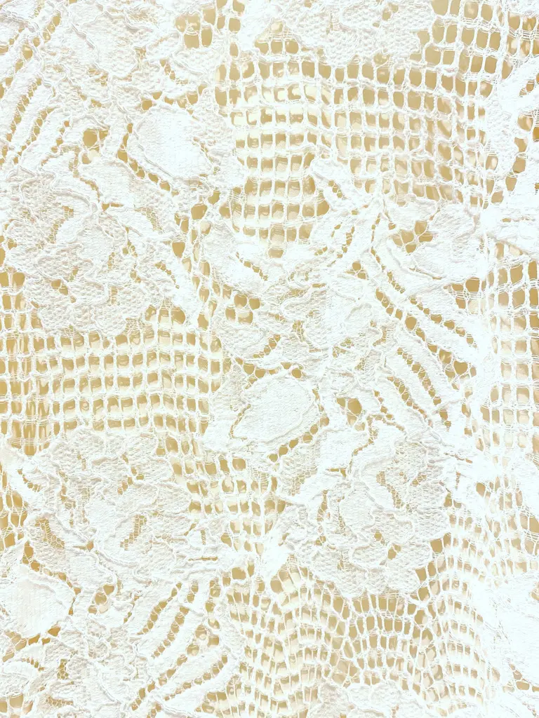 GRACE CONTINENTAL Ran コーディネート画像