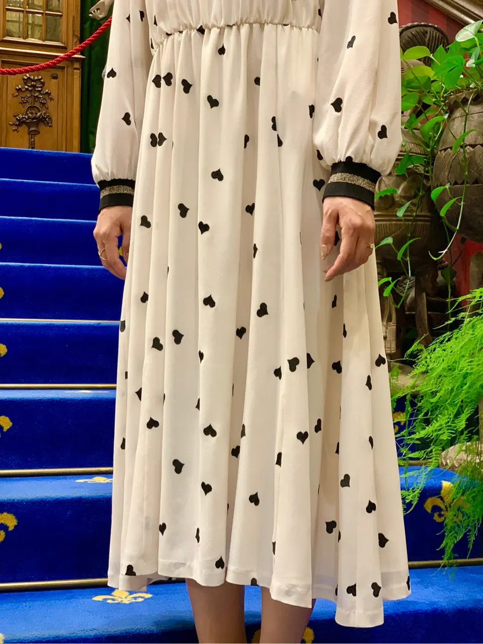 GRACE CONTINENTAL 小笠原　春菜 コーディネート画像