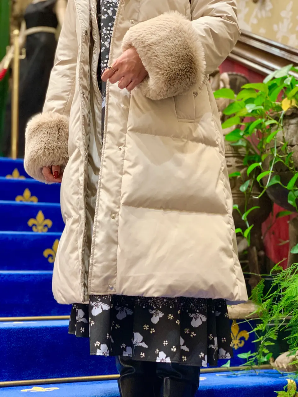 GRACE CONTINENTAL 小笠原　春菜 コーディネート画像