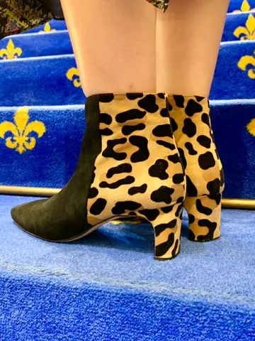 GRACE CONTINENTAL 小笠原　春菜 コーディネート画像