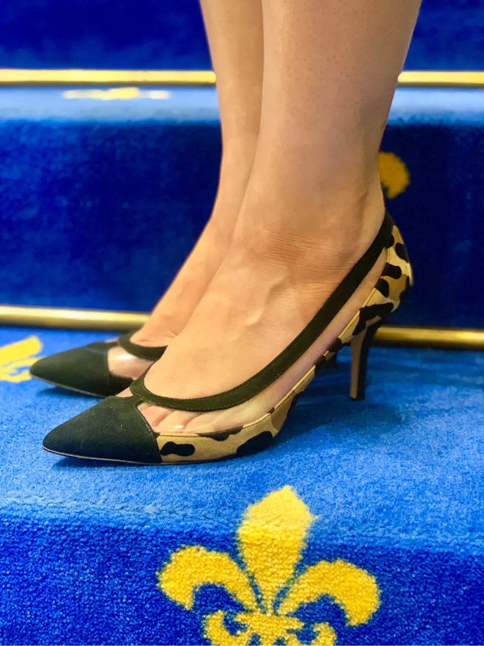 GRACE CONTINENTAL 小笠原　春菜 コーディネート画像