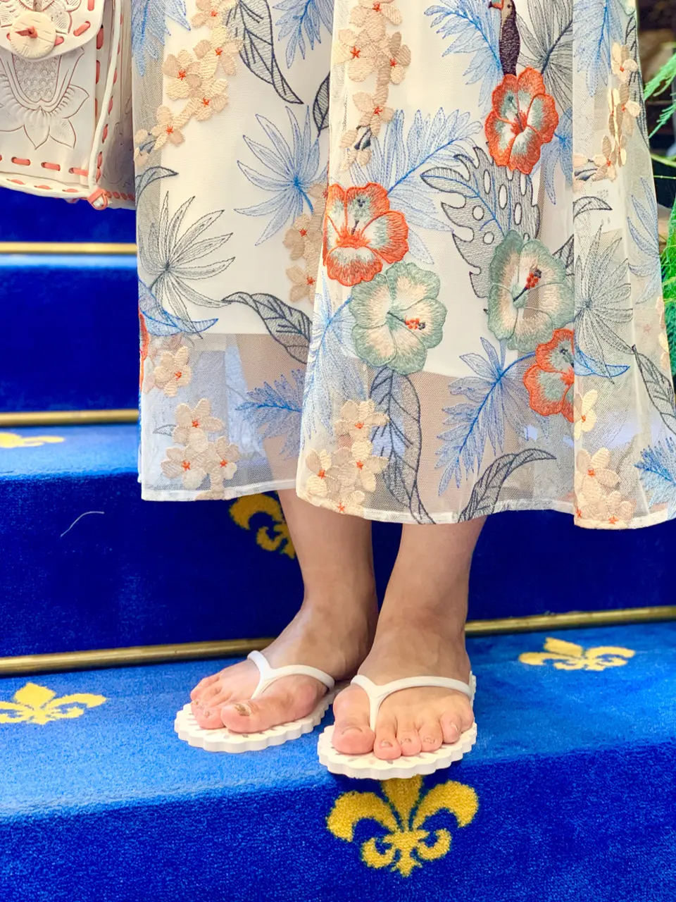 GRACE CONTINENTAL 小笠原　春菜 コーディネート画像