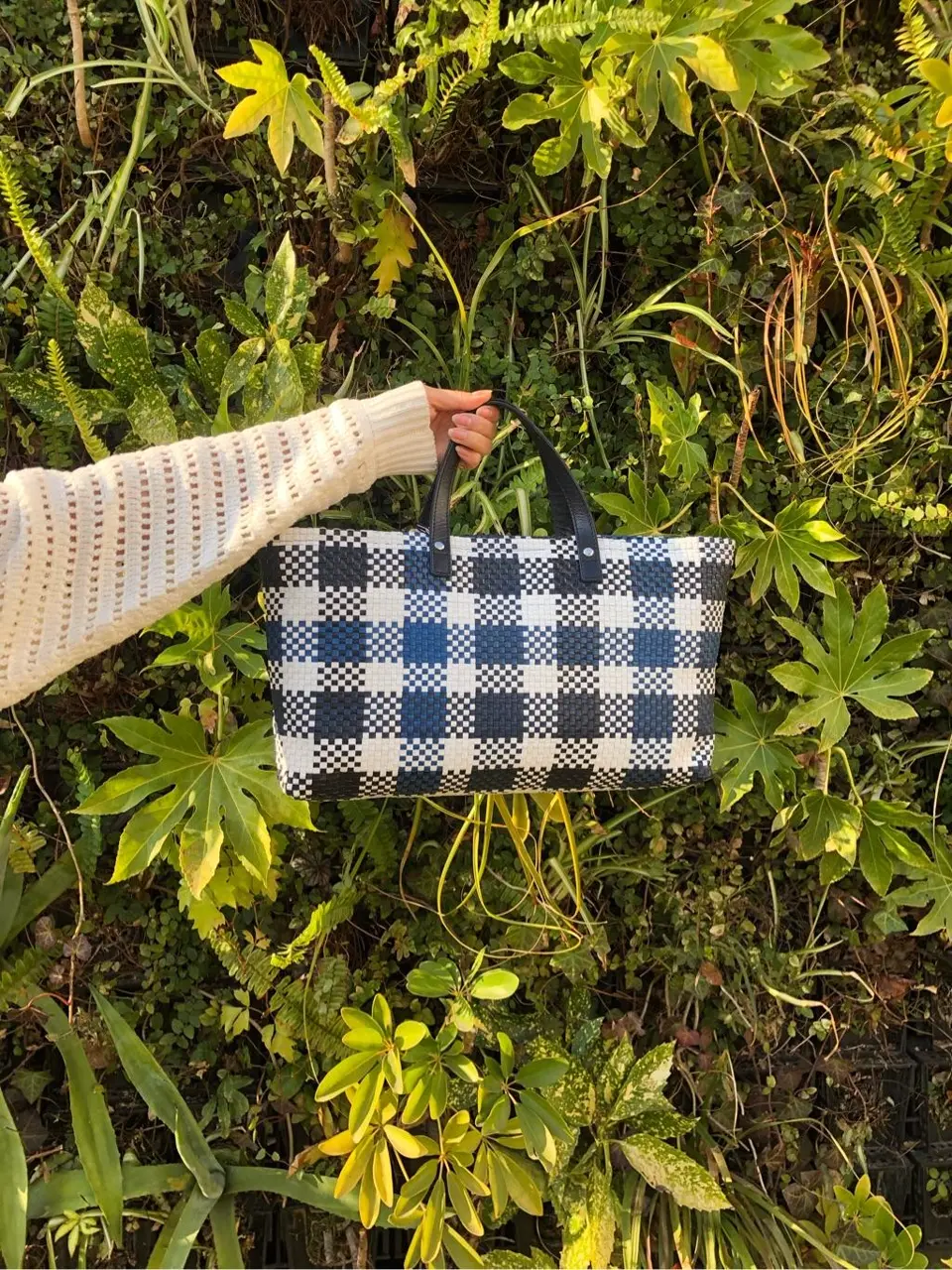 GRACE CONTINENTAL Maiko,N コーディネート画像