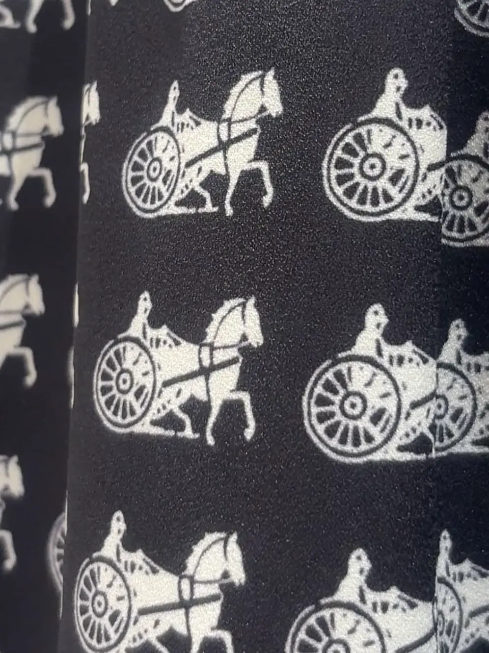 GRACE CONTINENTAL N.YURI コーディネート画像