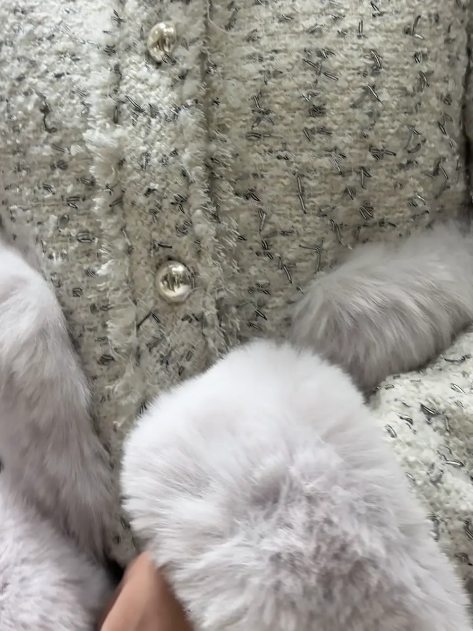 GRACE CONTINENTAL N.YURI コーディネート画像