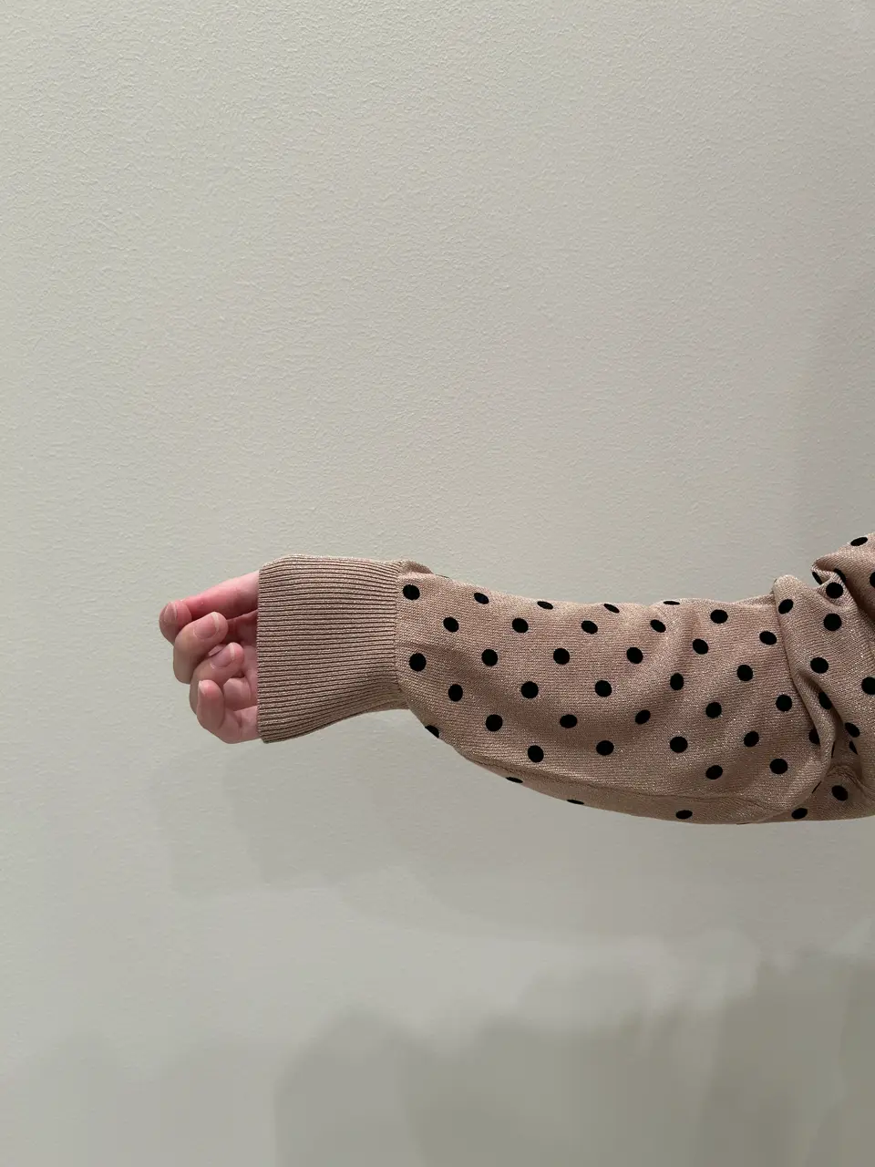 GRACE CONTINENTAL 若園　ひかり コーディネート画像