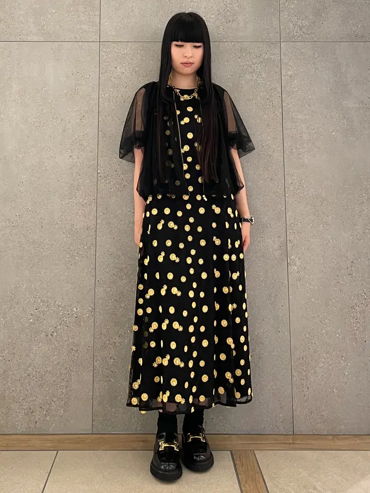 GRACE CONTINENTAL anri コーディネート画像