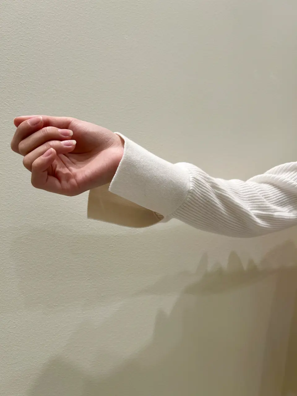 GRACE CONTINENTAL Wakazono コーディネート画像