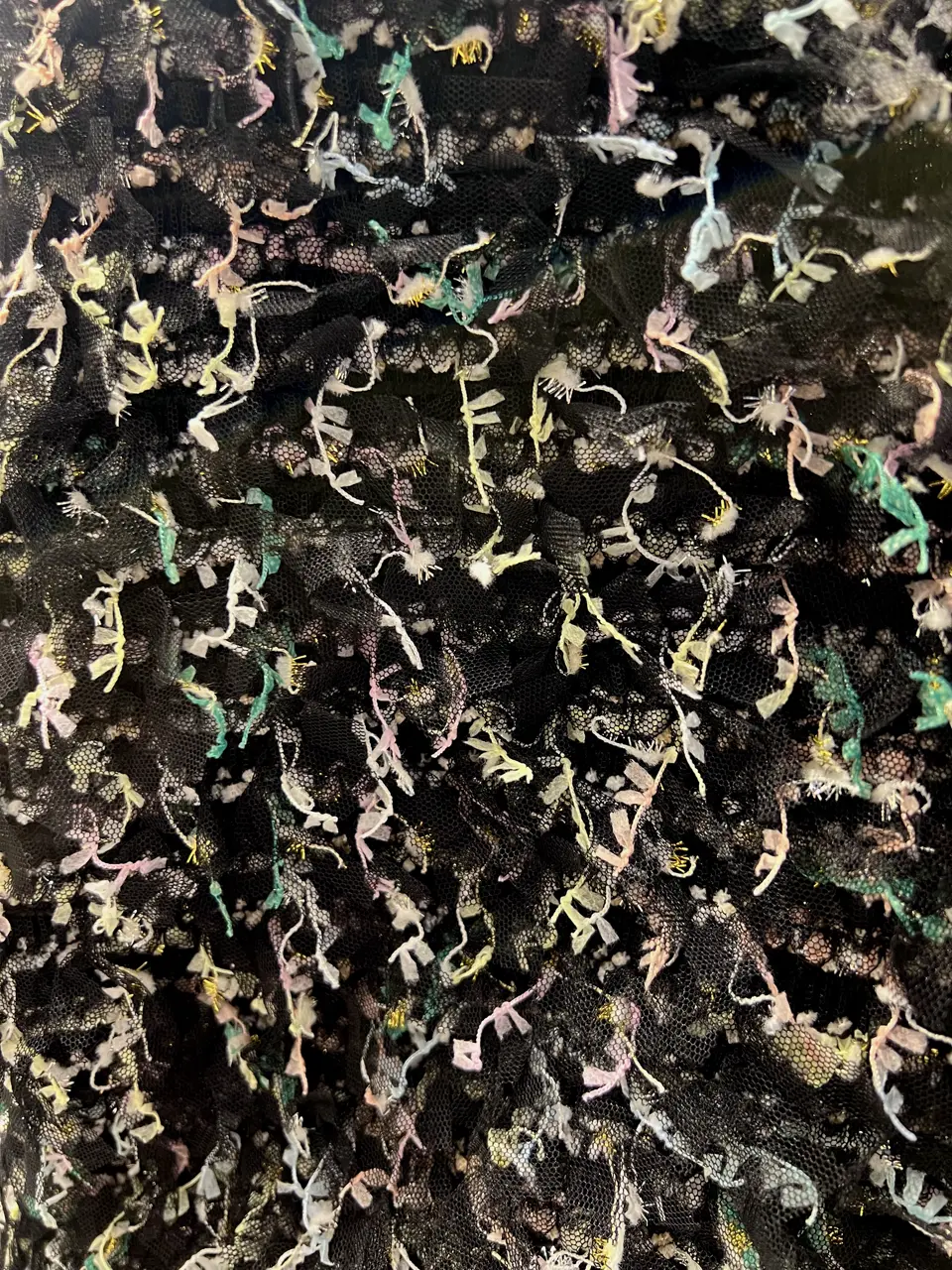 GRACE CONTINENTAL NORIA コーディネート画像