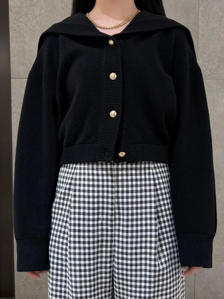 GRACE CONTINENTAL anri コーディネート画像