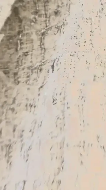 GRACE CONTINENTAL The Banquet yuri コーディネート画像