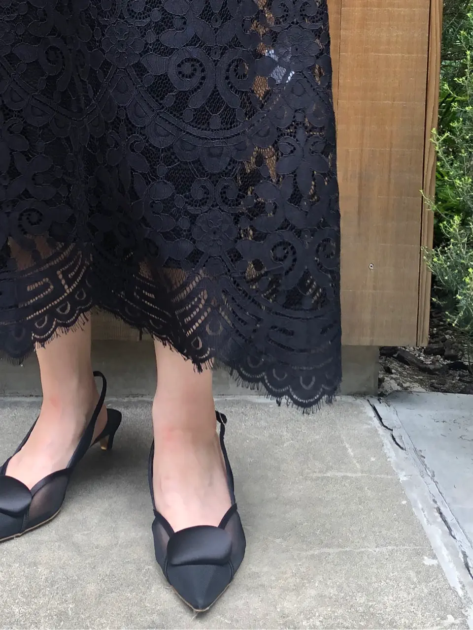 GRACE CONTINENTAL The Banquet HOSHINO コーディネート画像