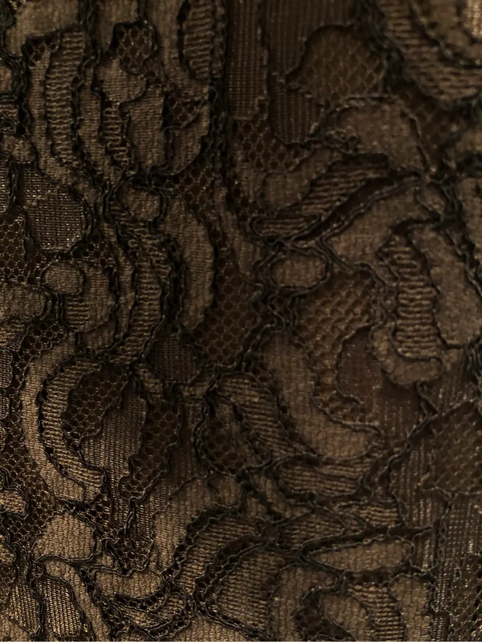 GRACE CONTINENTAL The Banquet HOSHINO コーディネート画像