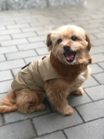 Carving Tribes 伊藤　静華 コーディネート画像