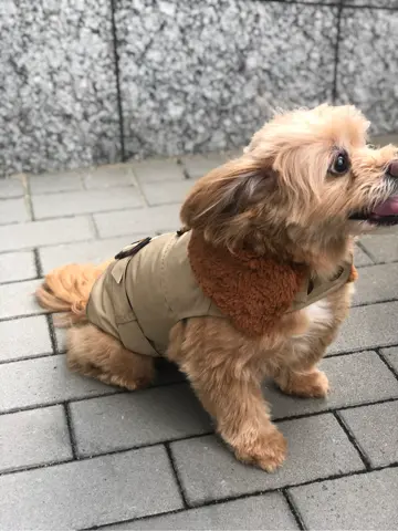 Carving Tribes 伊藤　静華 コーディネート画像