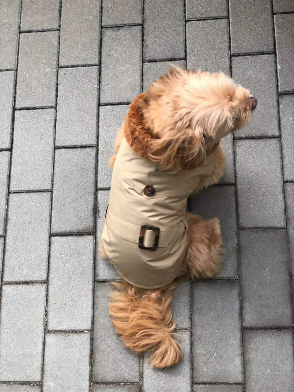 Carving Tribes 伊藤　静華 コーディネート画像