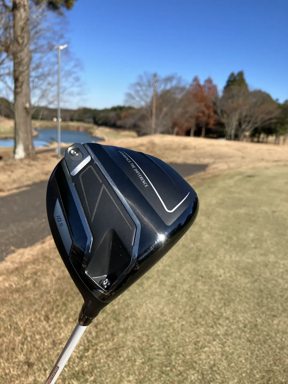 ゼクシオ 14+ ドライバー SPEEDER NX GOLD 50(ドライバー（単品