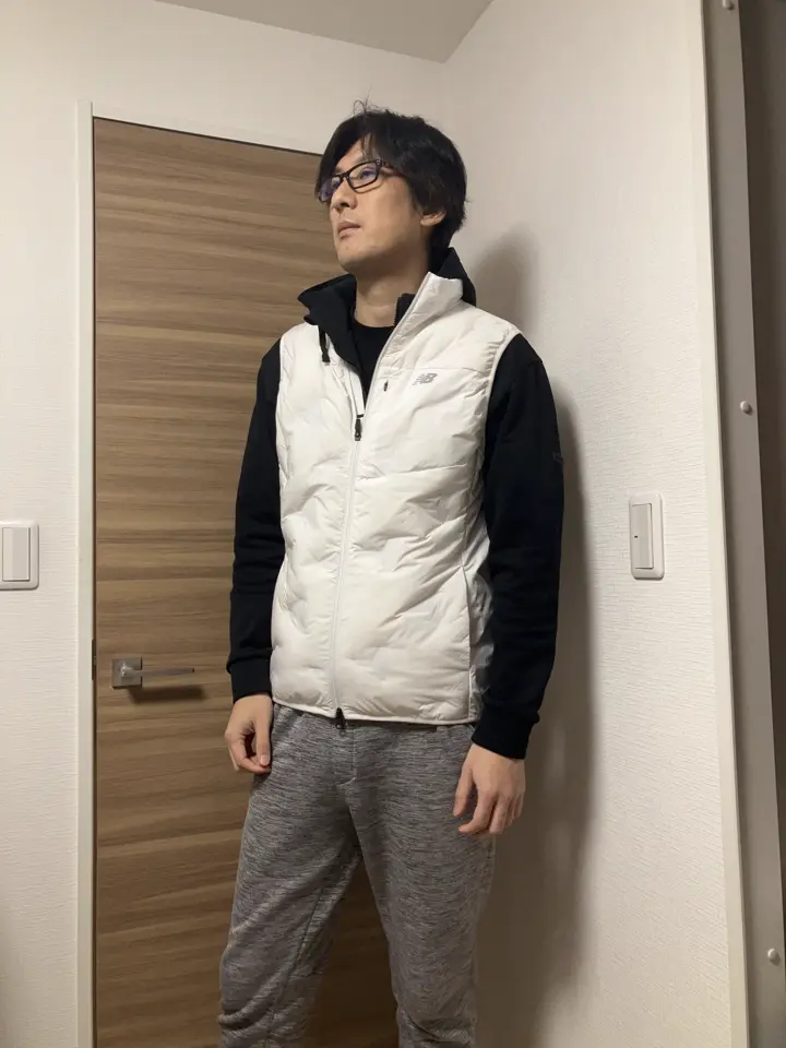 ストレッチ ハイブリッド ダウン ベスト(ベスト)|BRIEFING