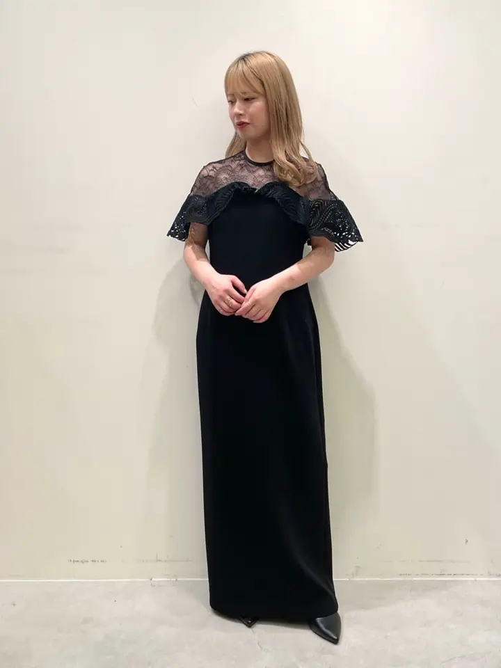 Mame Kurogouchi(マメ クロゴウチ)】 Tulle Lace Classic Dress
