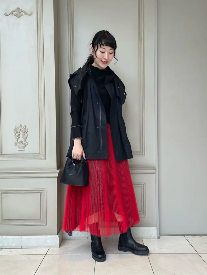 HYKE ハイク　ロゴ　チュールスカート黒　美品　オーガンジー HYKE(ハイク)】 TULLE PLEATED SKIRT｜PARIGOT ONLINE（パリゴオンライン）