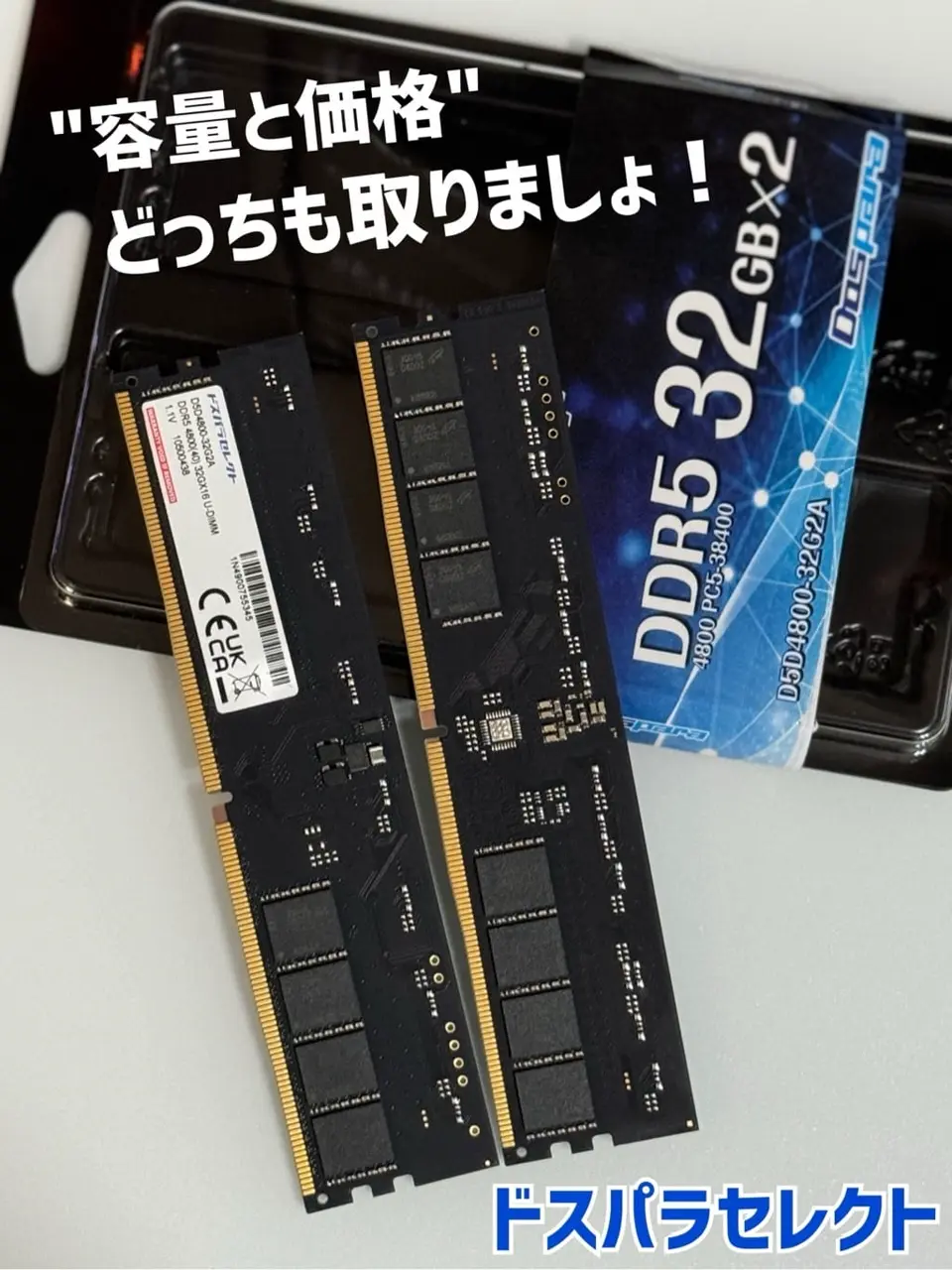 デスクトップ用メモリー DDR5-4800 PC5-38400 8GB 2枚組 D5R4800-8G DDR5 PC5-4800(PC5-38400)対応 デスクトップ用