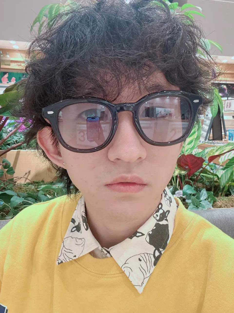 NEW CLASSIC No.02 SUNGLASSES ウェリントン アセテート UNISEX 【UCF