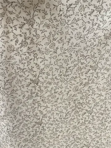 ANY SIS 瀬野 コーディネート画像