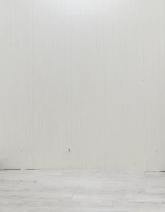 23区 L うめ子 コーディネート画像