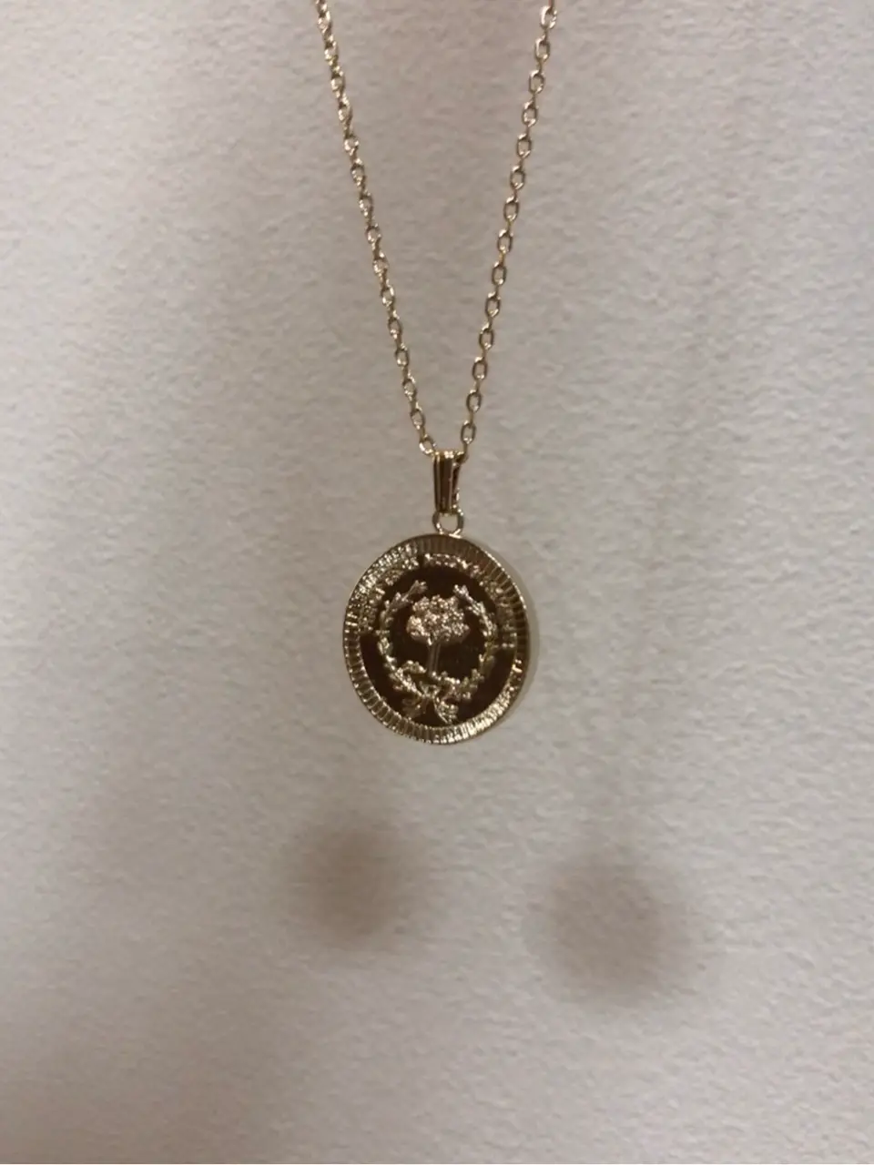 23区 L 露草 コーディネート画像