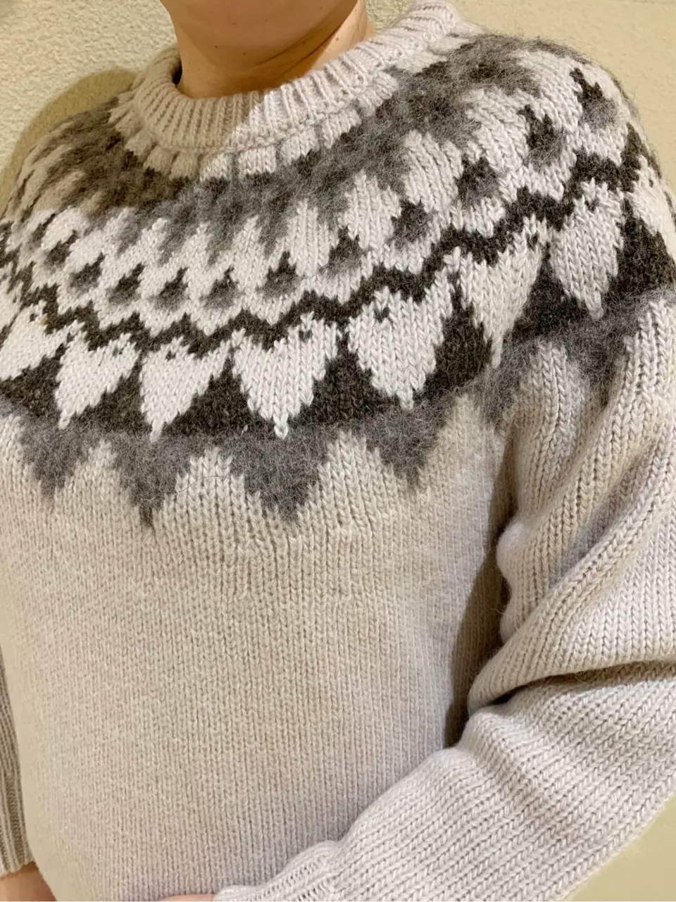 23区 L 山崎 コーディネート画像