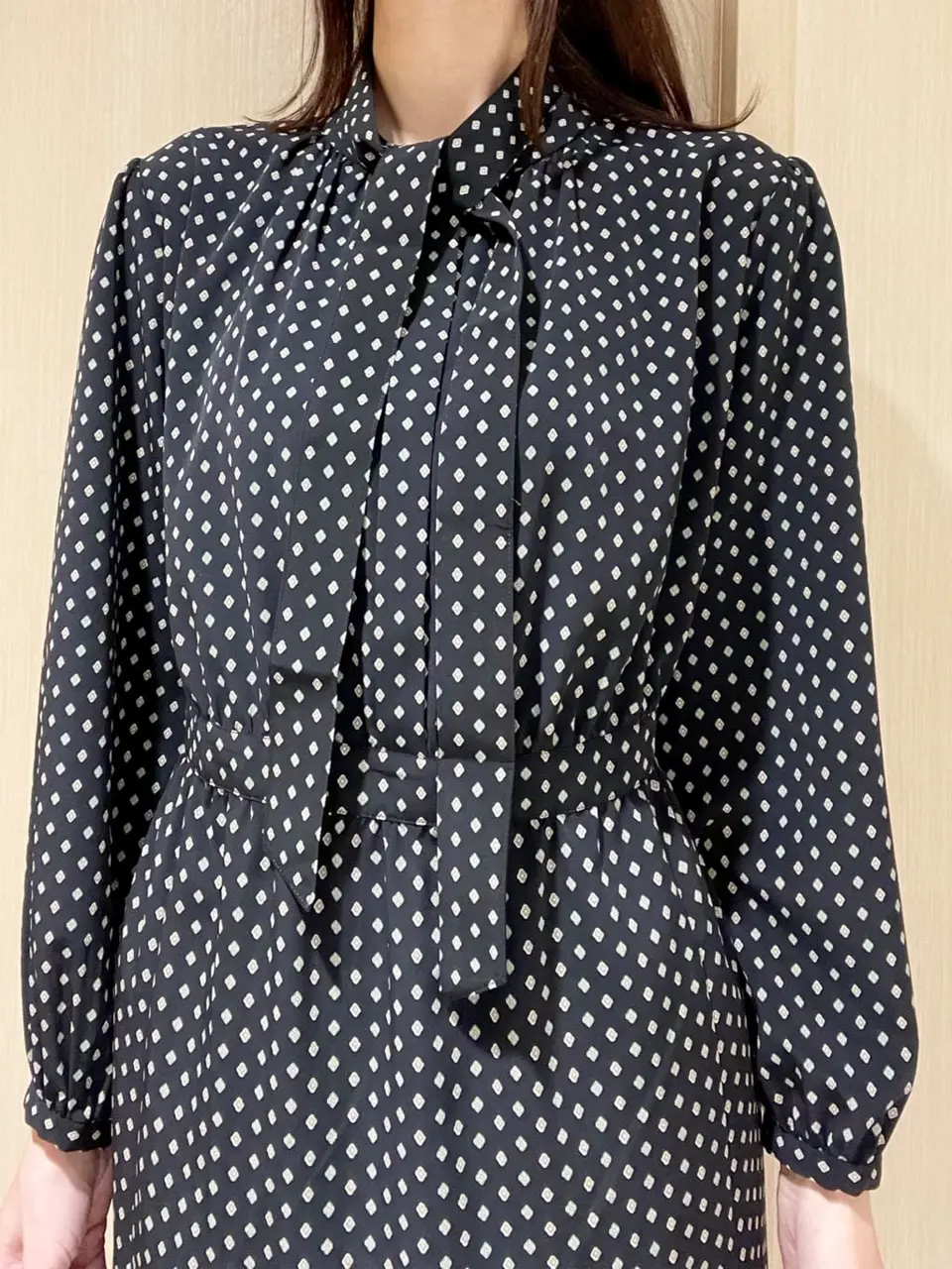 23区 L 山崎 コーディネート画像