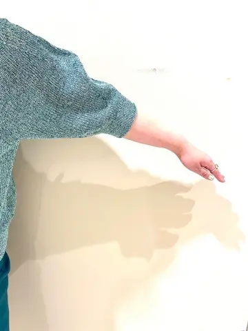 23区 L 樫浦 コーディネート画像