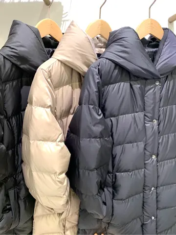 23区 L 山崎 コーディネート画像