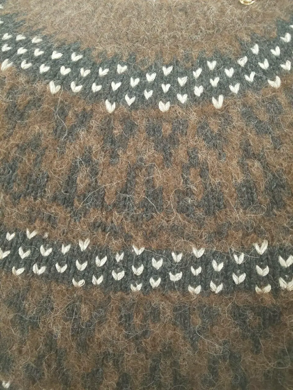 23区 L 林 コーディネート画像