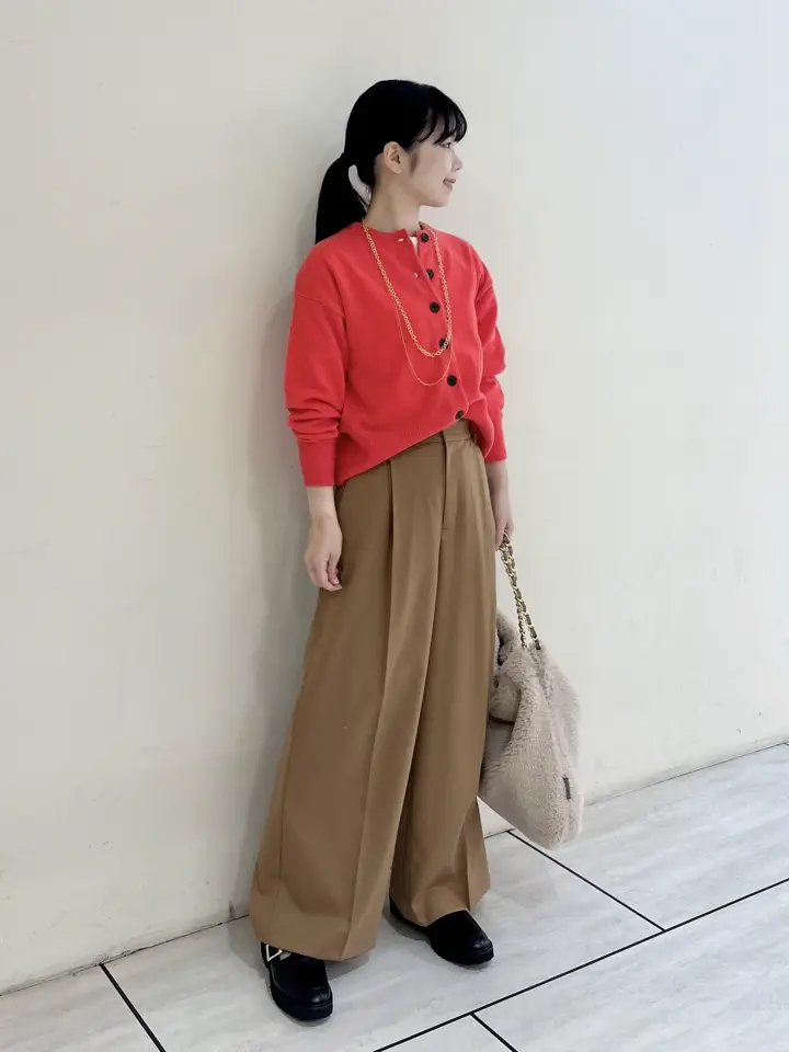 23区 平井 コーディネート画像