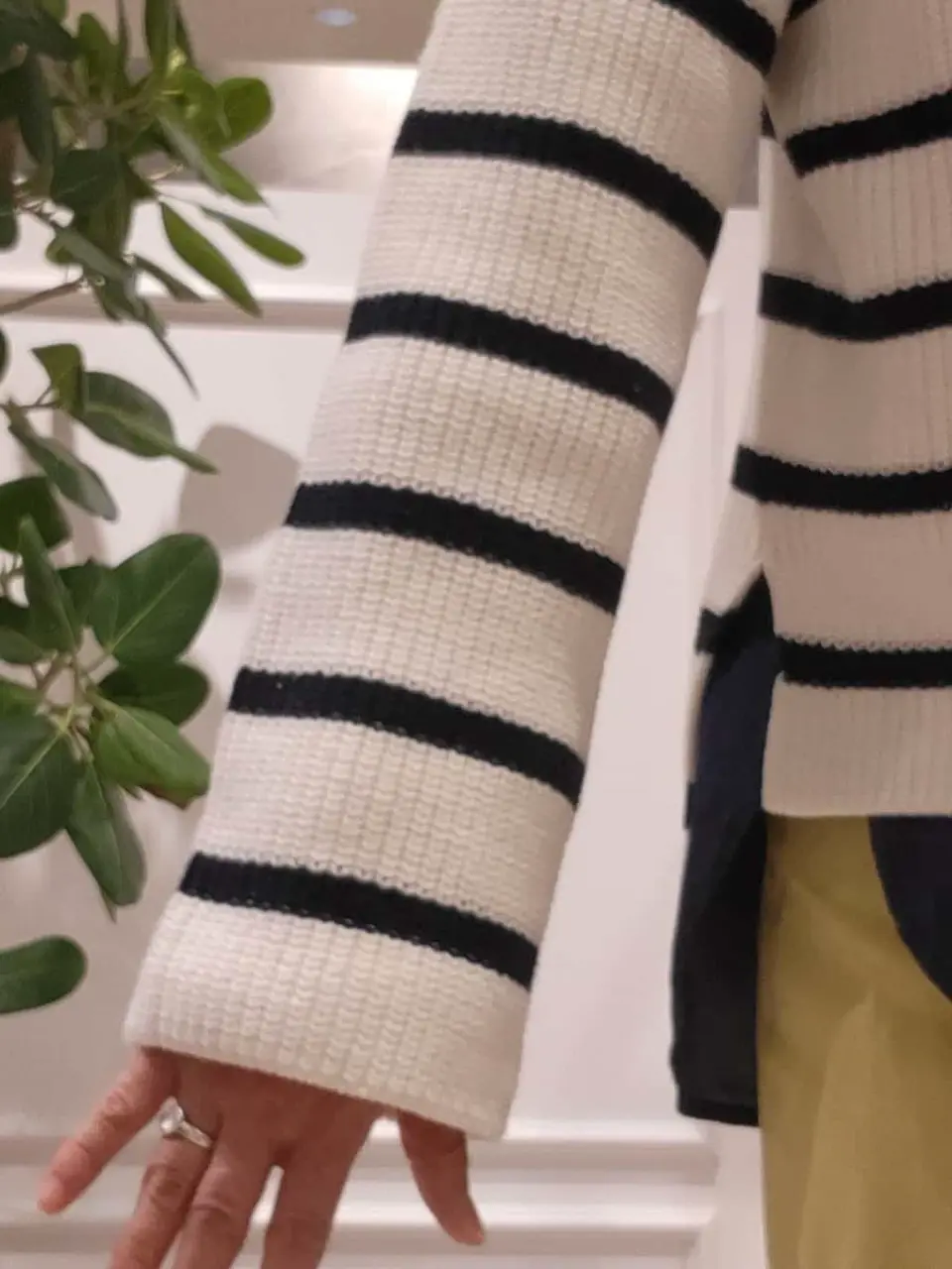 23区 新保 コーディネート画像