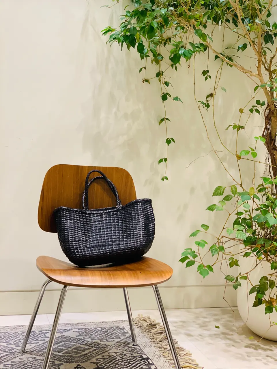 23区 板垣 コーディネート画像