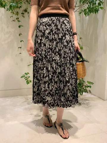 23区 秋葉 コーディネート画像