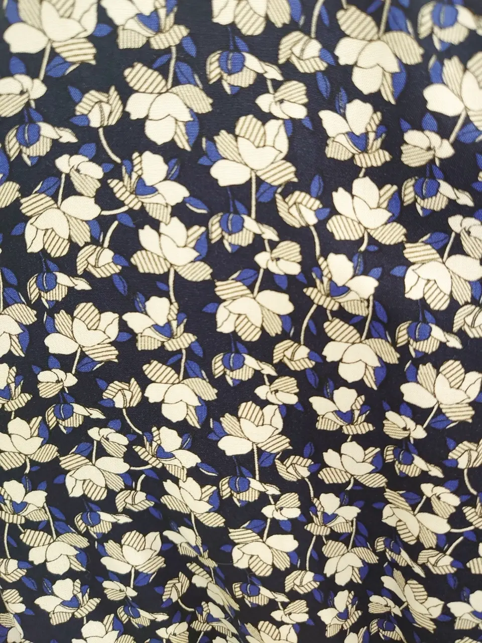 組曲 森 コーディネート画像