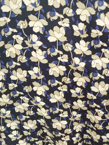 組曲 森 コーディネート画像