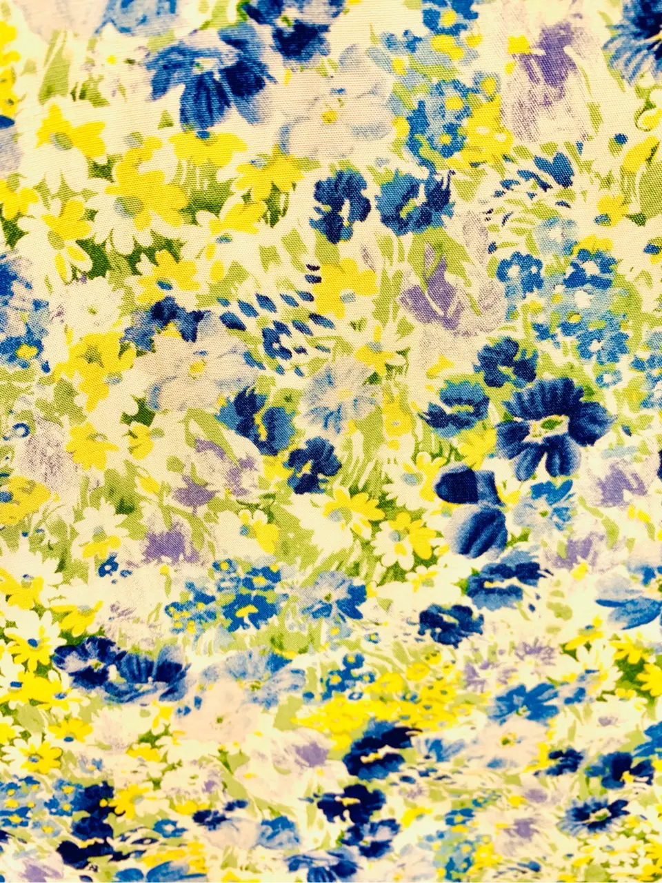 組曲 會澤 コーディネート画像