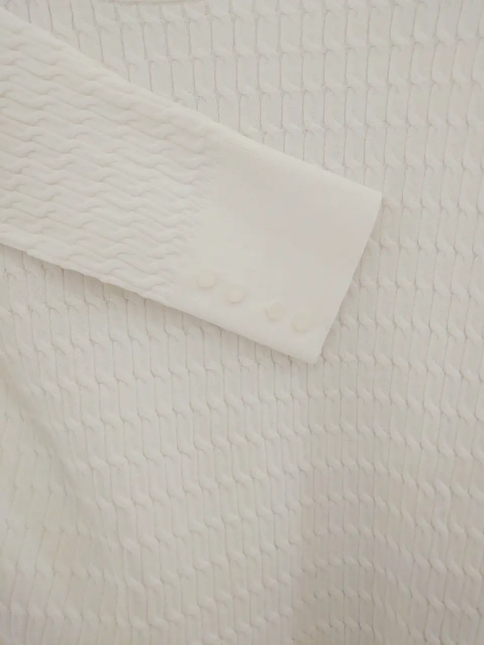 組曲 森 コーディネート画像