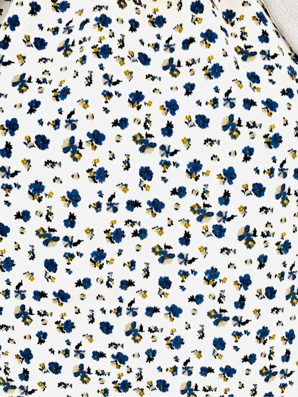 組曲 會澤 コーディネート画像