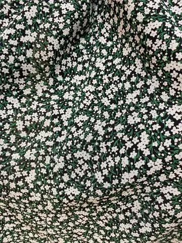 組曲 林 コーディネート画像