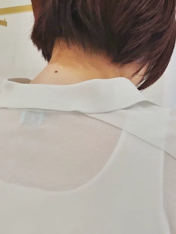 組曲 森 コーディネート画像