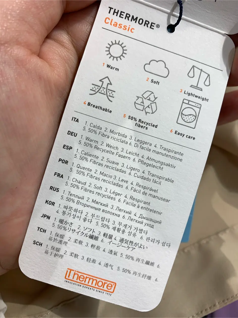 組曲 北井 コーディネート画像