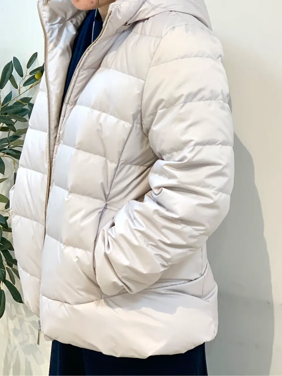 組曲 石井 コーディネート画像