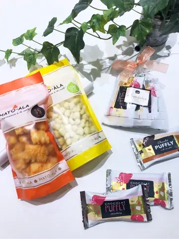 組曲 松田 コーディネート画像