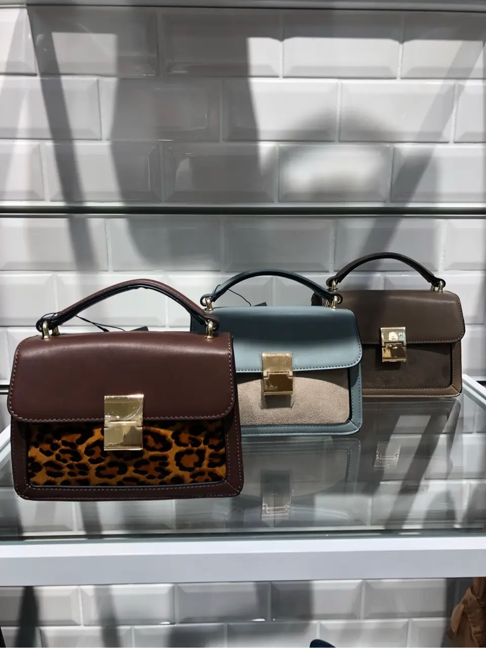 組曲 柿内 コーディネート画像